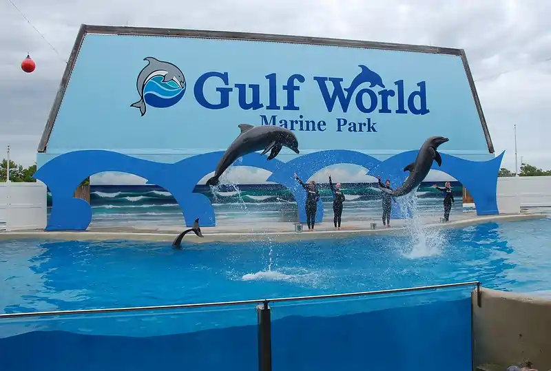 Gulf World Marine Park