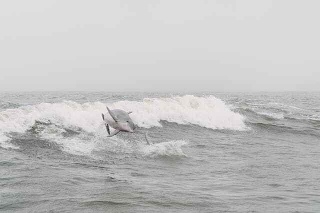 Orange Beach, Alabama - best bodysurfing beach on the Gulf of Mexico