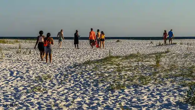 Shell Island - family things to do in Panama City Beach