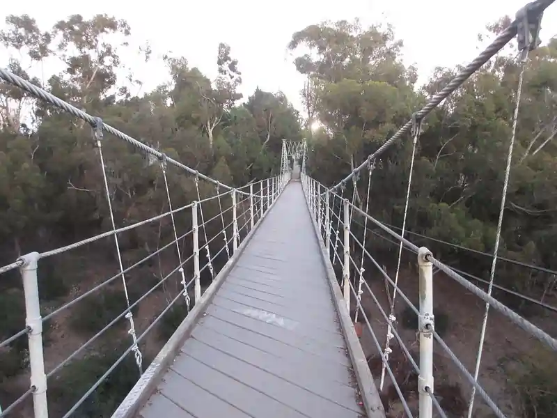 Spruce Street Suspension Bridge - Unique Attractions in San Diego