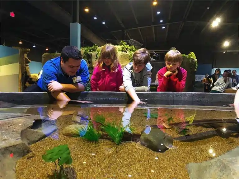 Living Shores Aquarium Indoor Experience - North Conway with Children in December